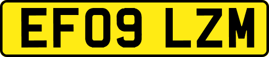EF09LZM
