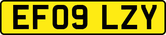 EF09LZY