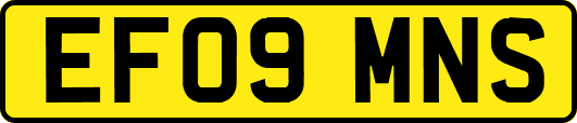 EF09MNS