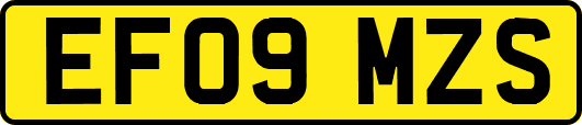 EF09MZS