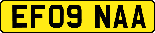 EF09NAA