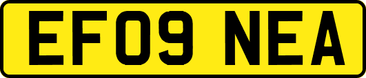 EF09NEA