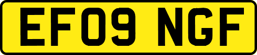 EF09NGF