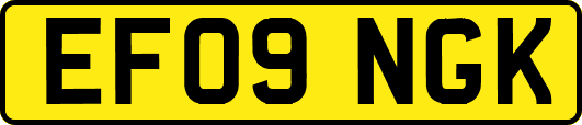 EF09NGK