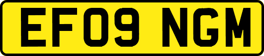 EF09NGM