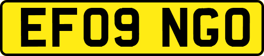 EF09NGO
