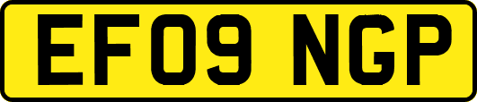 EF09NGP