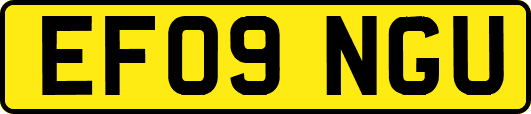 EF09NGU