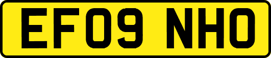 EF09NHO
