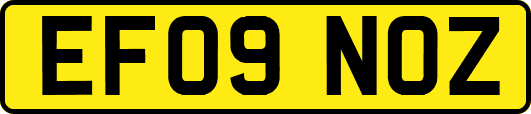EF09NOZ