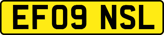 EF09NSL