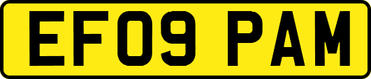 EF09PAM