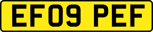 EF09PEF