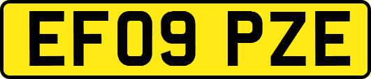EF09PZE