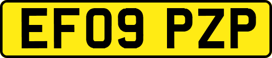 EF09PZP