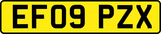 EF09PZX