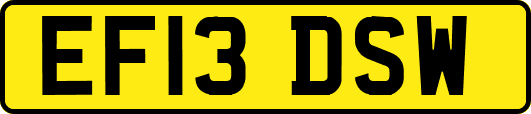 EF13DSW
