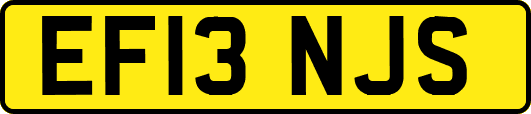 EF13NJS