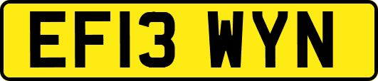 EF13WYN