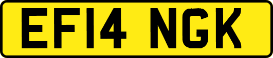 EF14NGK