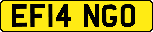 EF14NGO