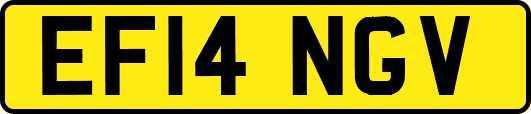 EF14NGV