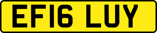 EF16LUY