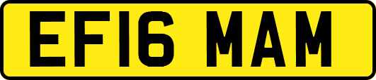 EF16MAM