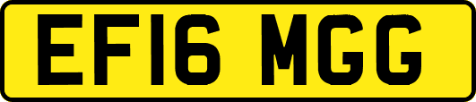 EF16MGG