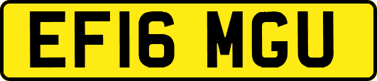 EF16MGU