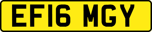 EF16MGY