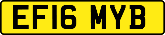 EF16MYB