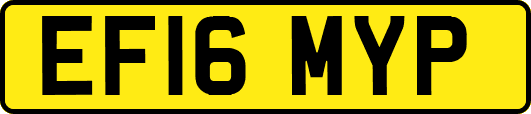 EF16MYP