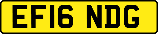 EF16NDG