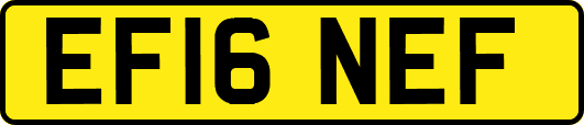 EF16NEF