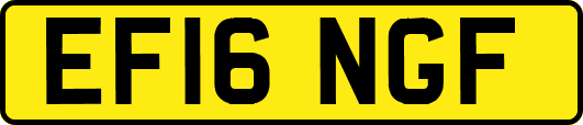 EF16NGF