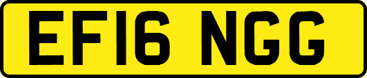 EF16NGG