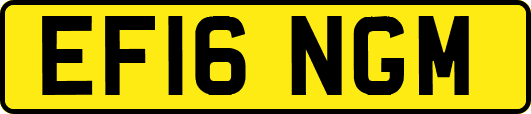 EF16NGM