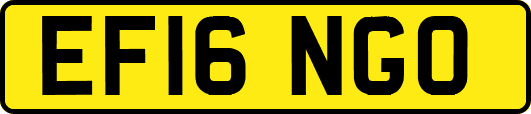 EF16NGO