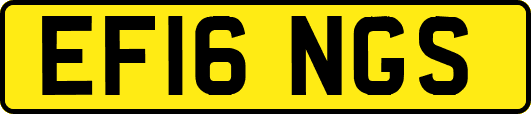 EF16NGS