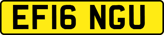 EF16NGU