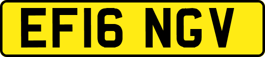 EF16NGV