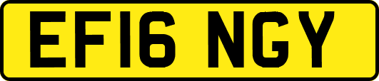 EF16NGY