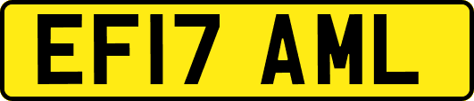 EF17AML