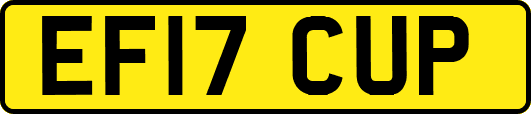 EF17CUP