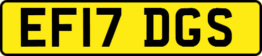 EF17DGS