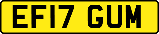 EF17GUM