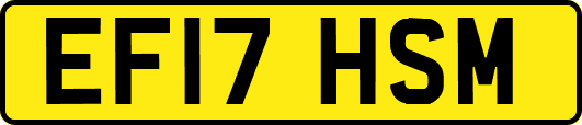 EF17HSM