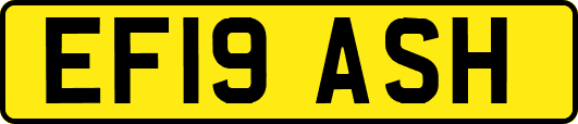 EF19ASH