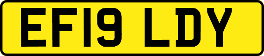 EF19LDY